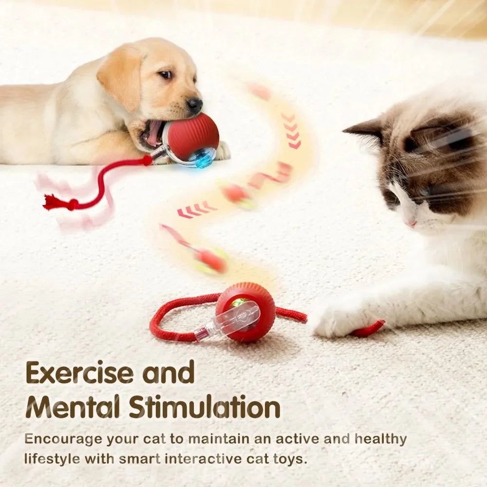 LEMEENQ Smart Cat Toy Ball