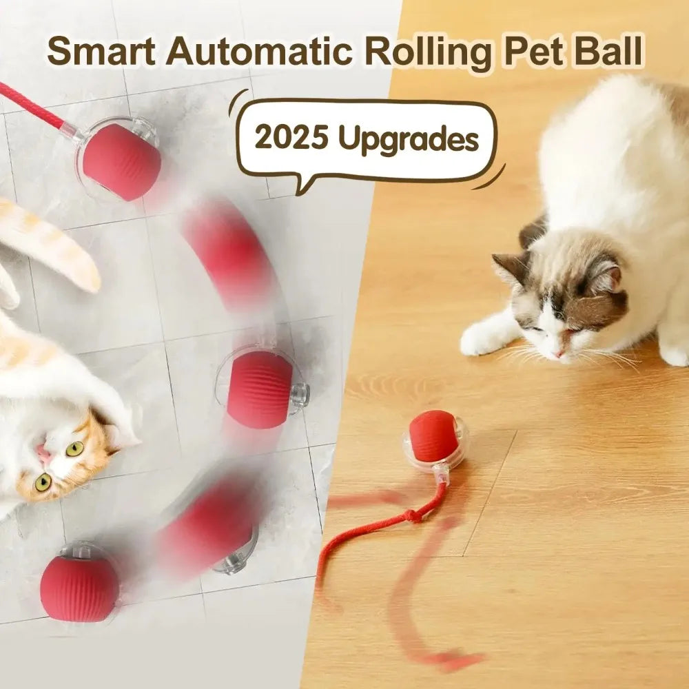 LEMEENQ Smart Cat Toy Ball