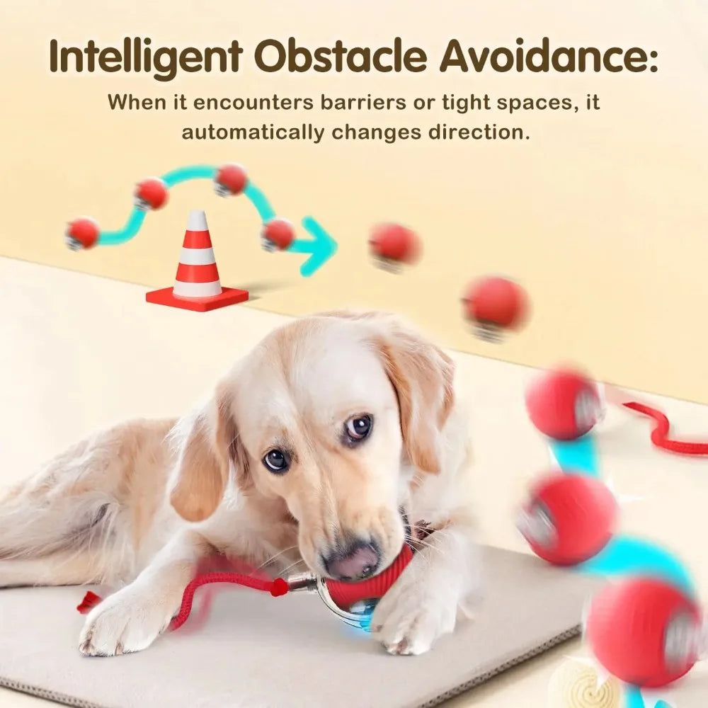 LEMEENQ Smart Cat Toy Ball