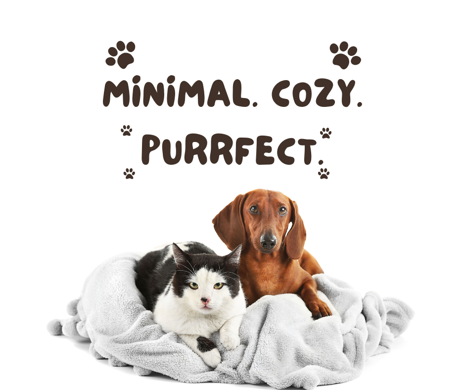 The Art of Cozy Companionship