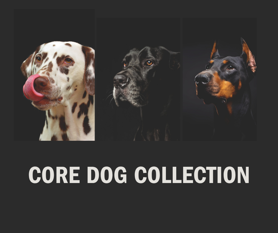 The Art of Pet Wellbeing