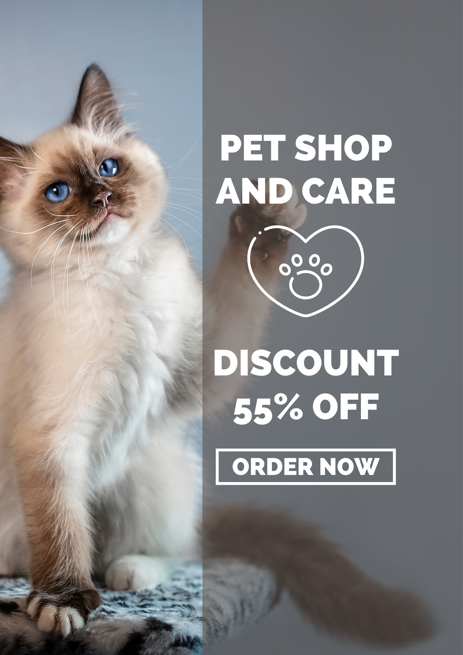 The Modern Pet Must-Haves