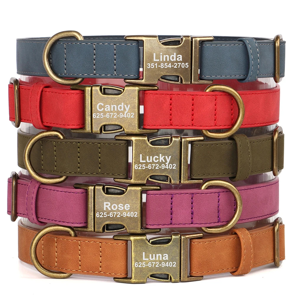 IDStyle Custom Collar & Leash Set