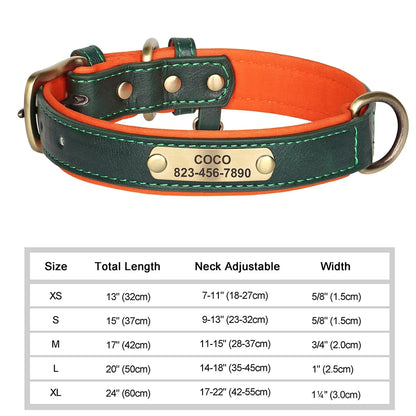 NameTag Personalized Leather Dog Collar