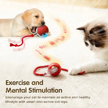 LEMEENQ Smart Cat Toy Ball