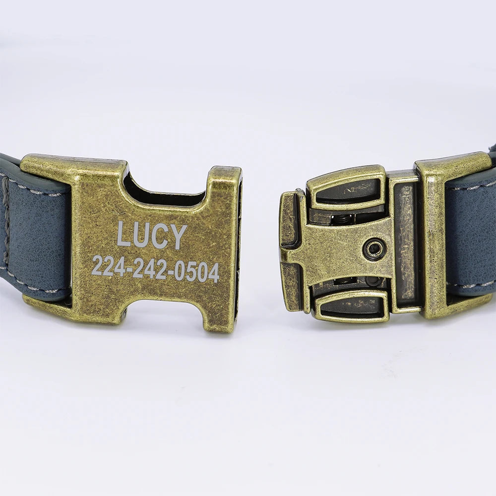 IDStyle Custom Collar & Leash Set
