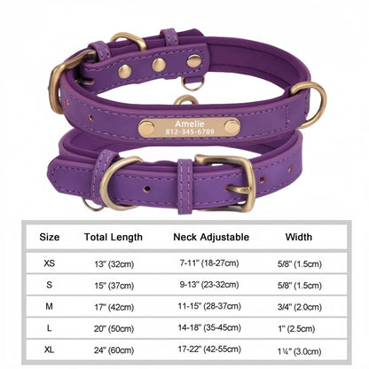 NameTag Personalized Leather Dog Collar