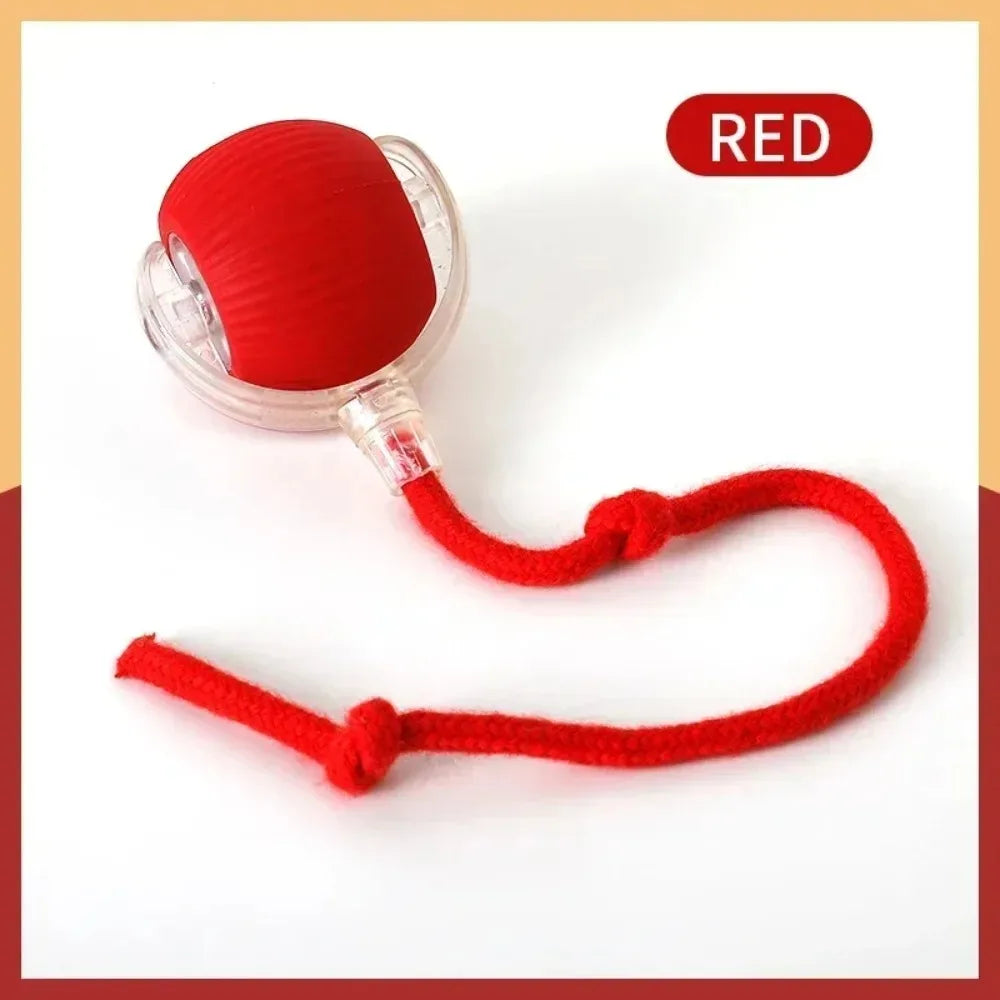 Rechargeable Interactive Cat Ball