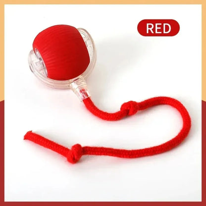 Rechargeable Interactive Cat Ball