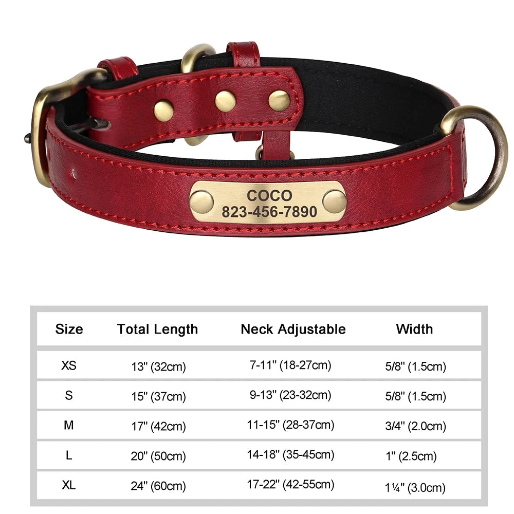 NameTag Personalized Leather Dog Collar
