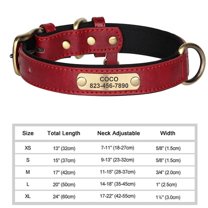 NameTag Personalized Leather Dog Collar