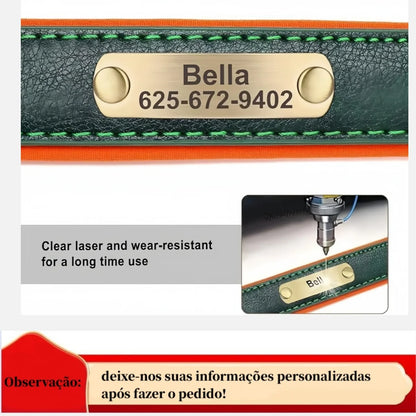 NameTag Personalized Leather Dog Collar