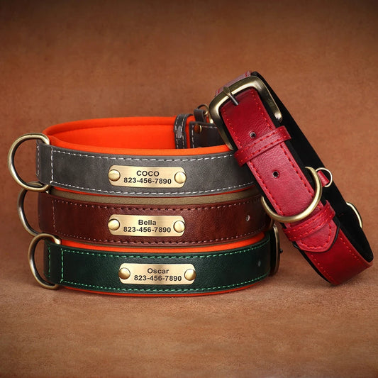 NameTag Personalized Leather Dog Collar
