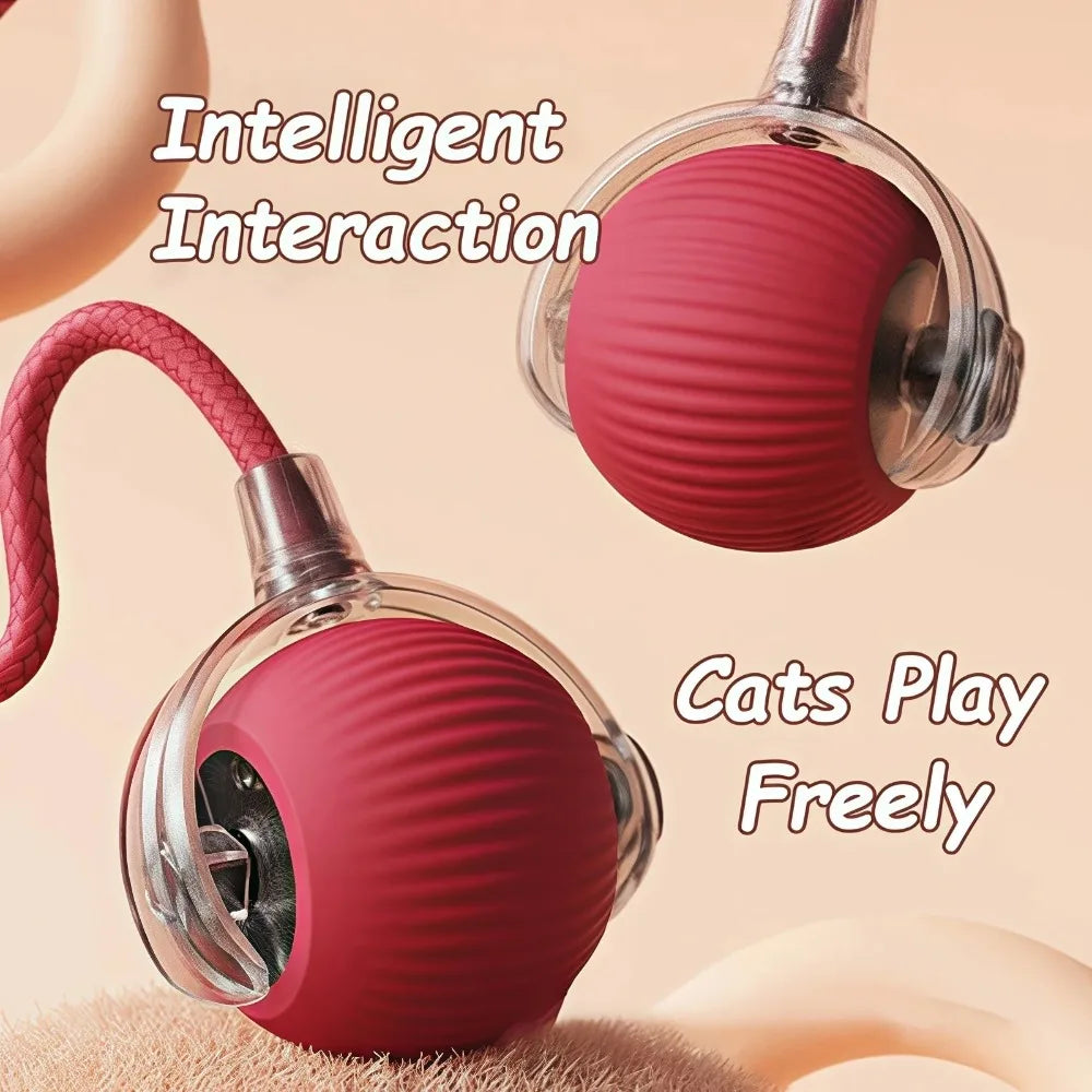 Rechargeable Interactive Cat Ball
