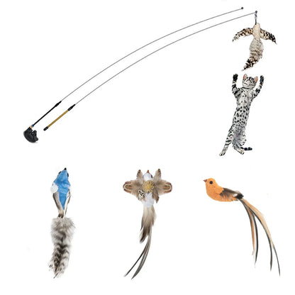 Interactive Peacock Cat Wand Toy