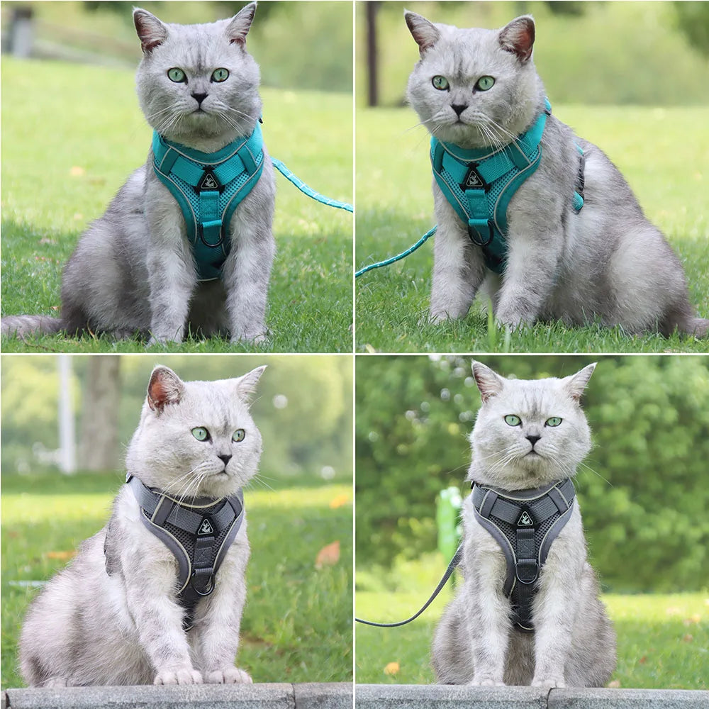 PawFit Harness & Leash Set