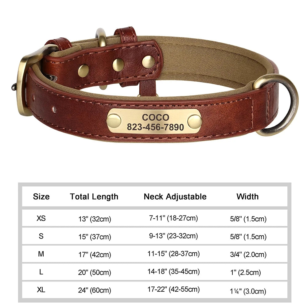 NameTag Personalized Leather Dog Collar