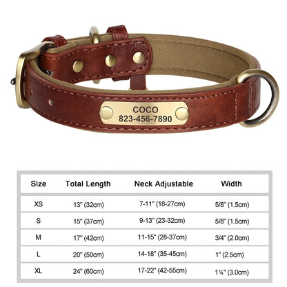 NameTag Personalized Leather Dog Collar