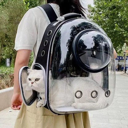 Space Capsule Pet Backpack – Transparent, Breathable (Cats & Small Dogs)