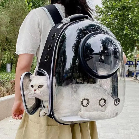 Space Capsule Pet Backpack – Transparent, Breathable (Cats & Small Dogs)