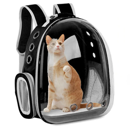 Space Capsule Pet Backpack – Transparent, Breathable (Cats & Small Dogs)