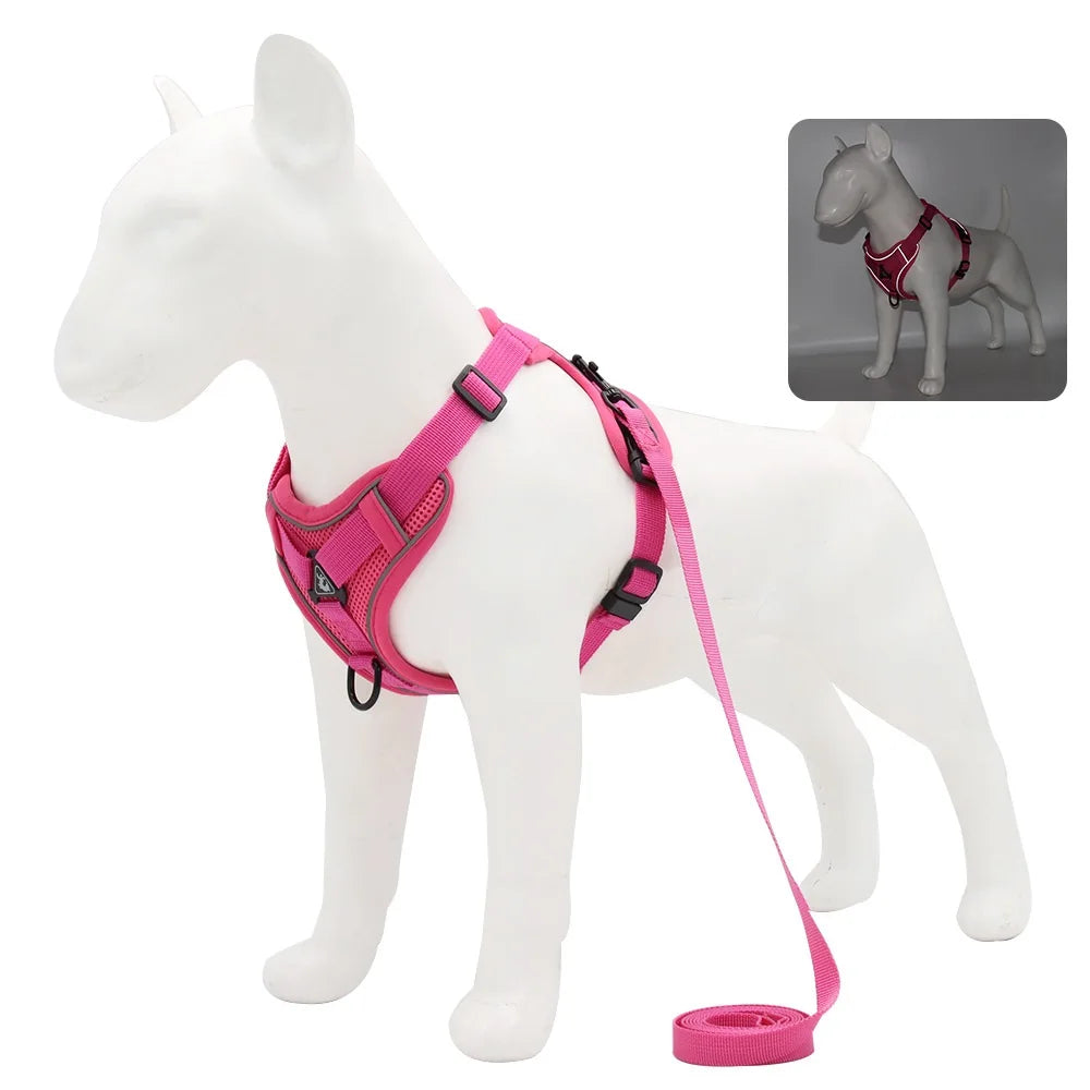 PawFit Harness & Leash Set