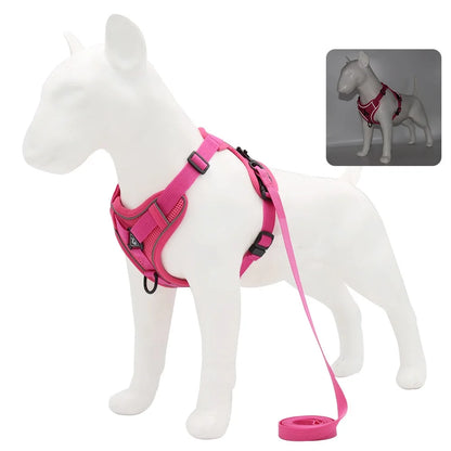 PawFit Harness & Leash Set