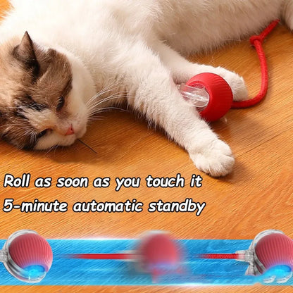 Rechargeable Interactive Cat Ball