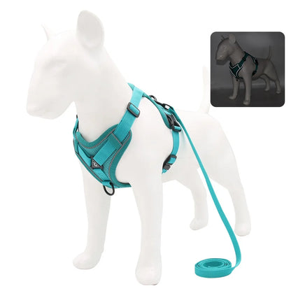 PawFit Harness & Leash Set