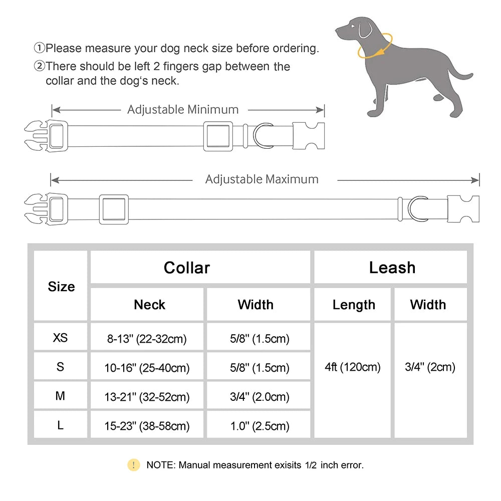 IDStyle Custom Collar & Leash Set