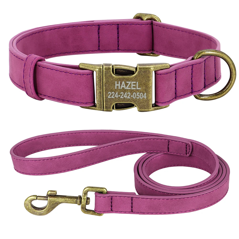 IDStyle Custom Collar & Leash Set