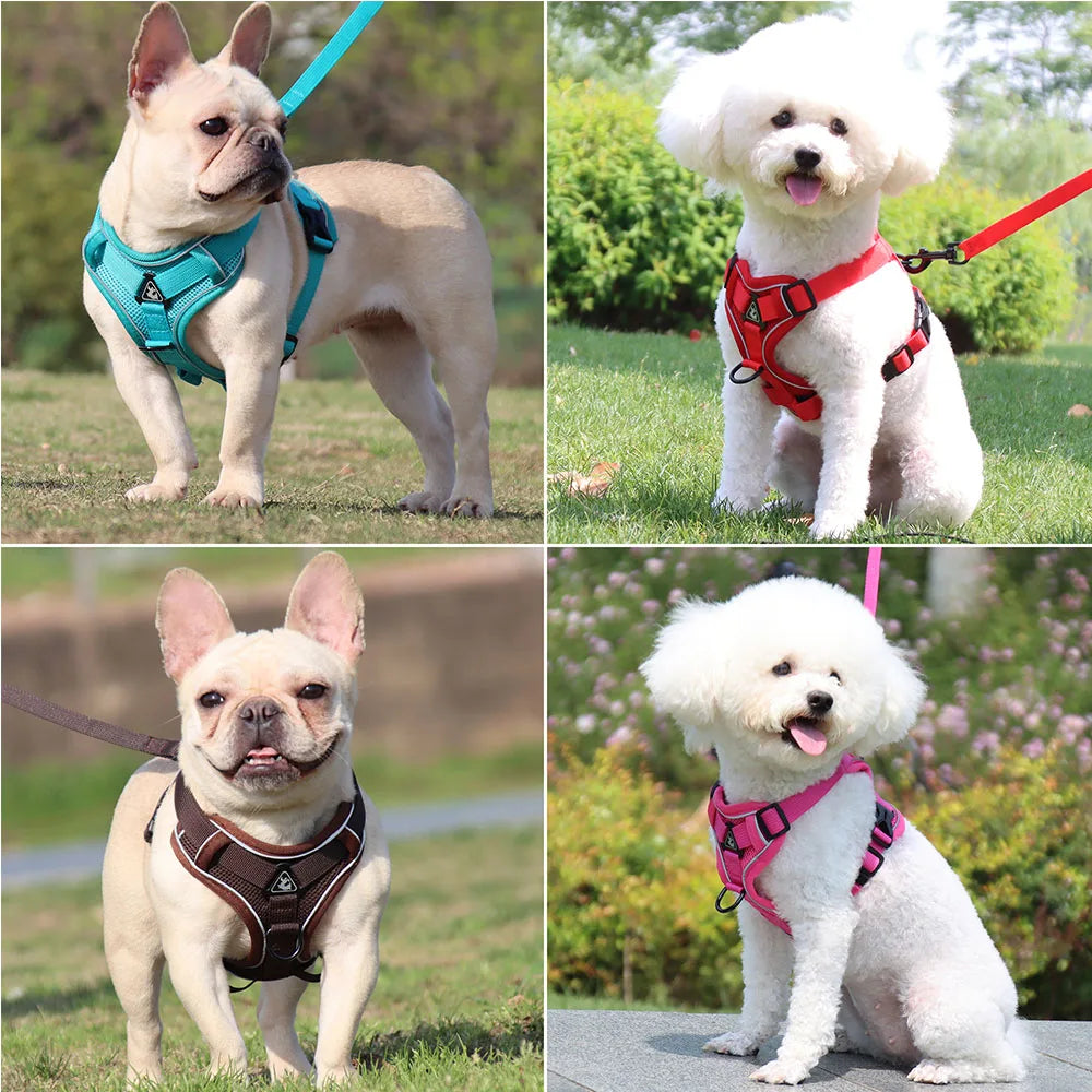 PawFit Harness & Leash Set