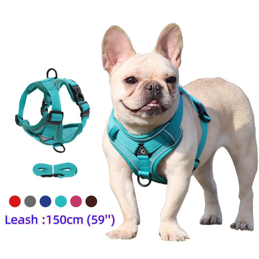 PawFit Harness & Leash Set