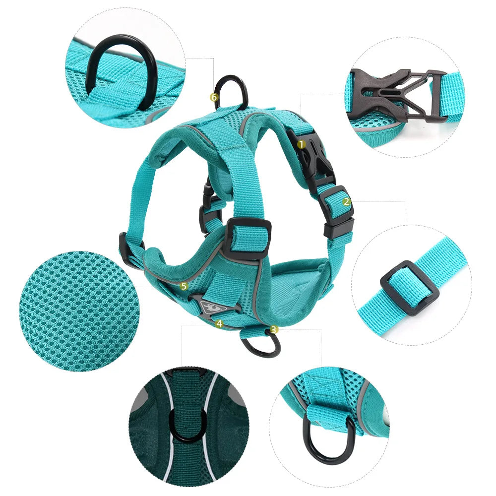 PawFit Harness & Leash Set