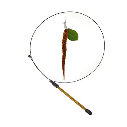 Interactive Peacock Cat Wand Toy