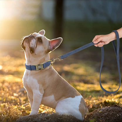 IDStyle Custom Collar & Leash Set