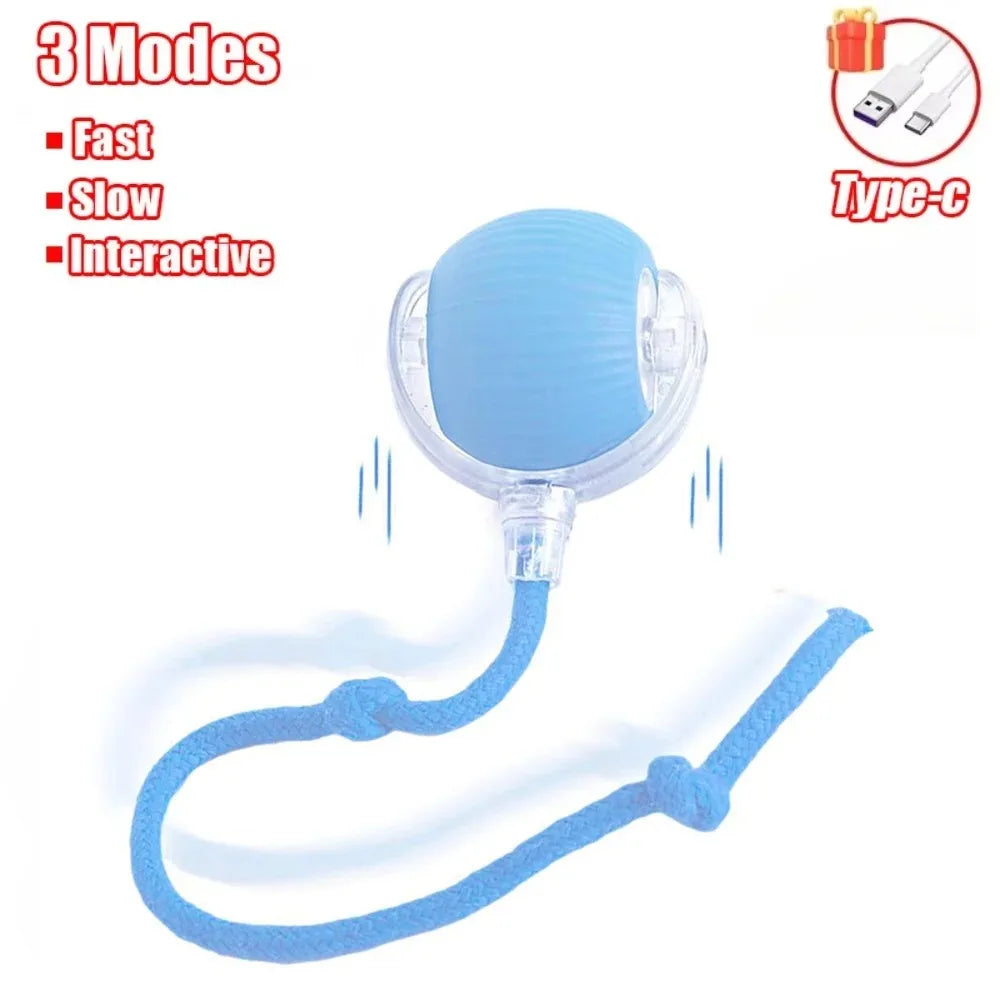 Rechargeable Interactive Cat Ball
