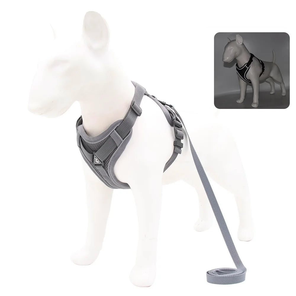 PawFit Harness & Leash Set