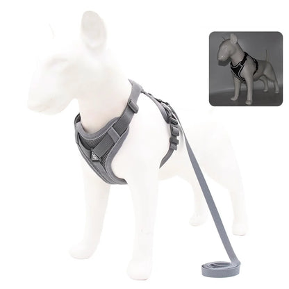 PawFit Harness & Leash Set