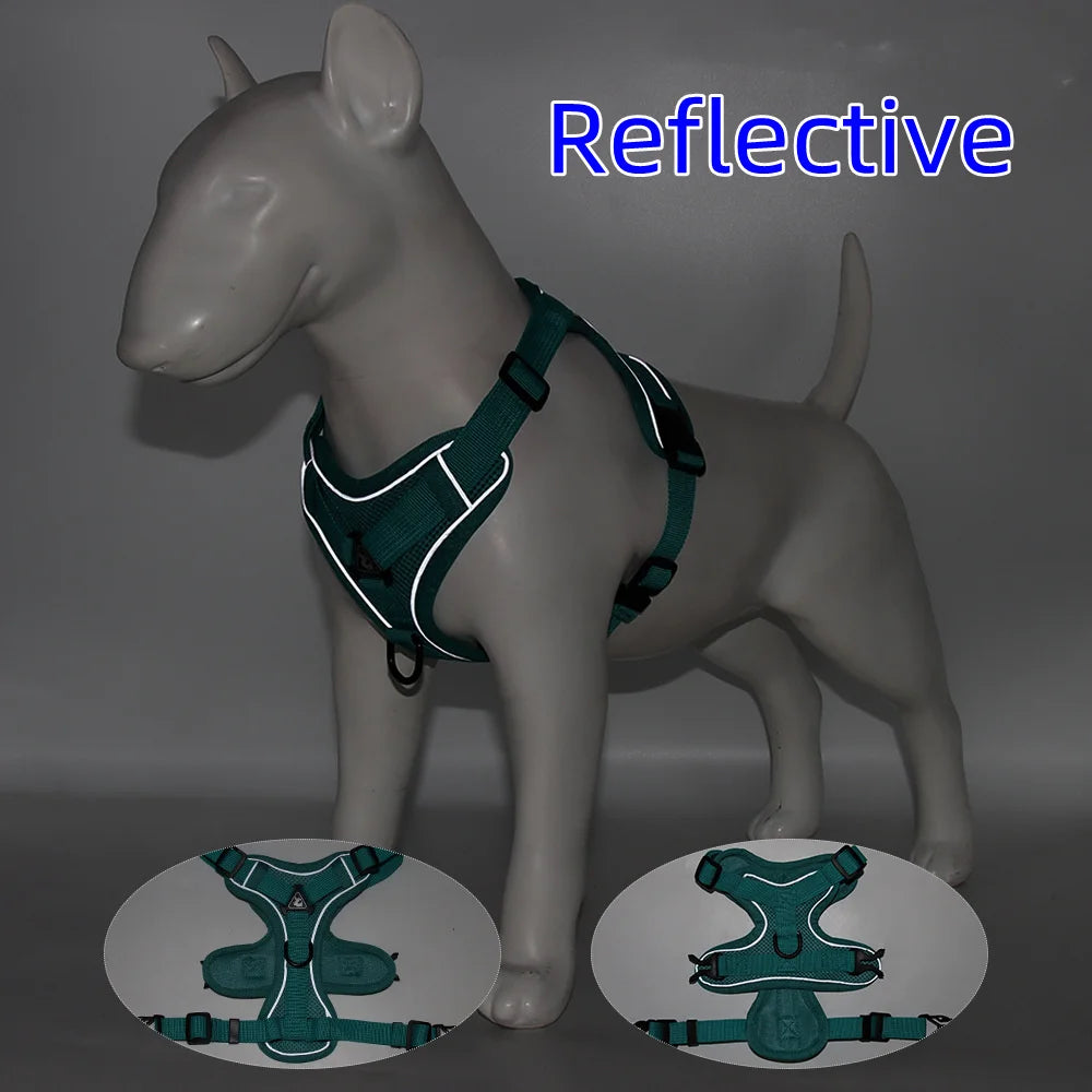 PawFit Harness & Leash Set