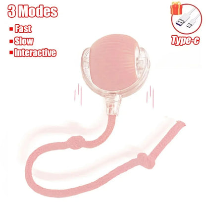 Rechargeable Interactive Cat Ball