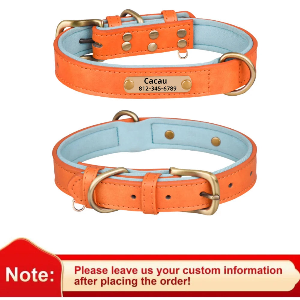 NameTag Personalized Leather Dog Collar