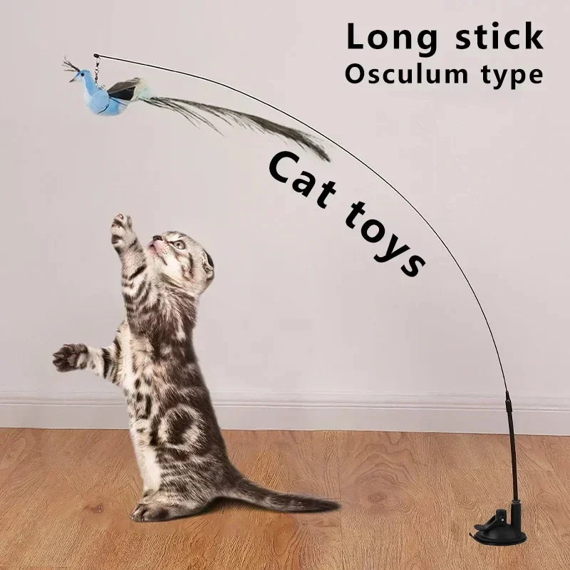 Interactive Peacock Cat Wand Toy