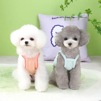 Summer Thin‑Strap Pet Outfit