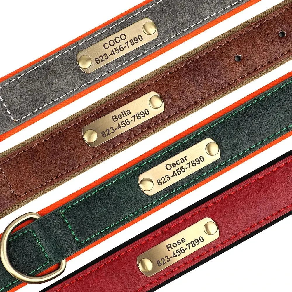 NameTag Personalized Leather Dog Collar
