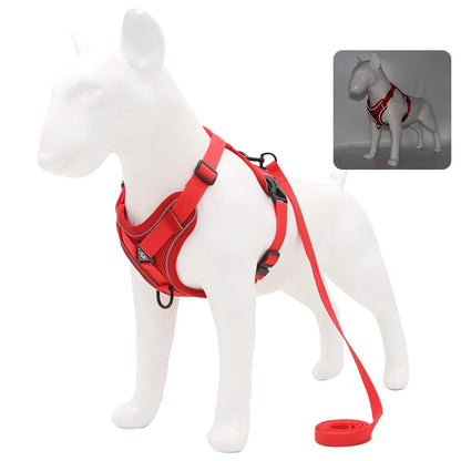 PawFit Harness & Leash Set