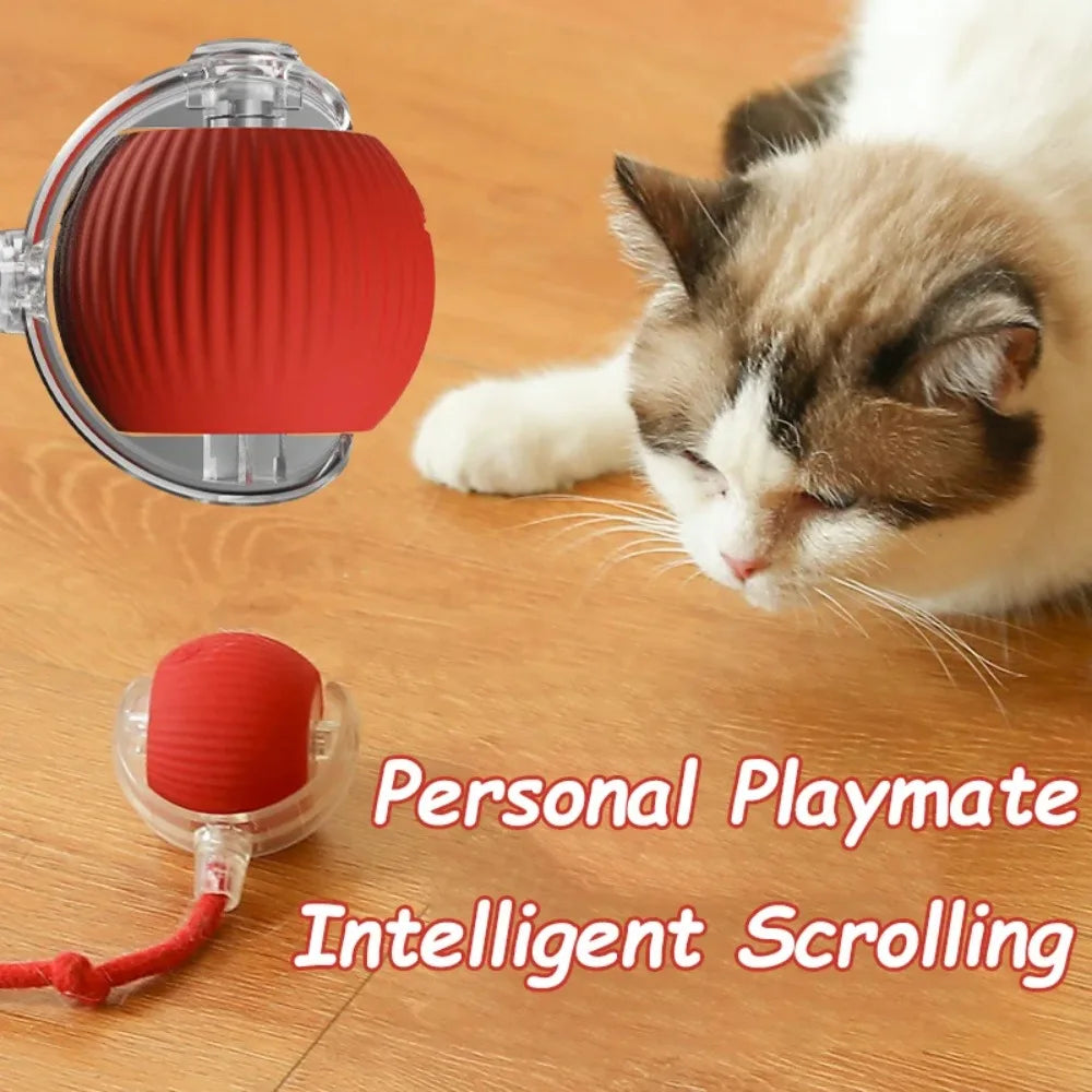 Rechargeable Interactive Cat Ball