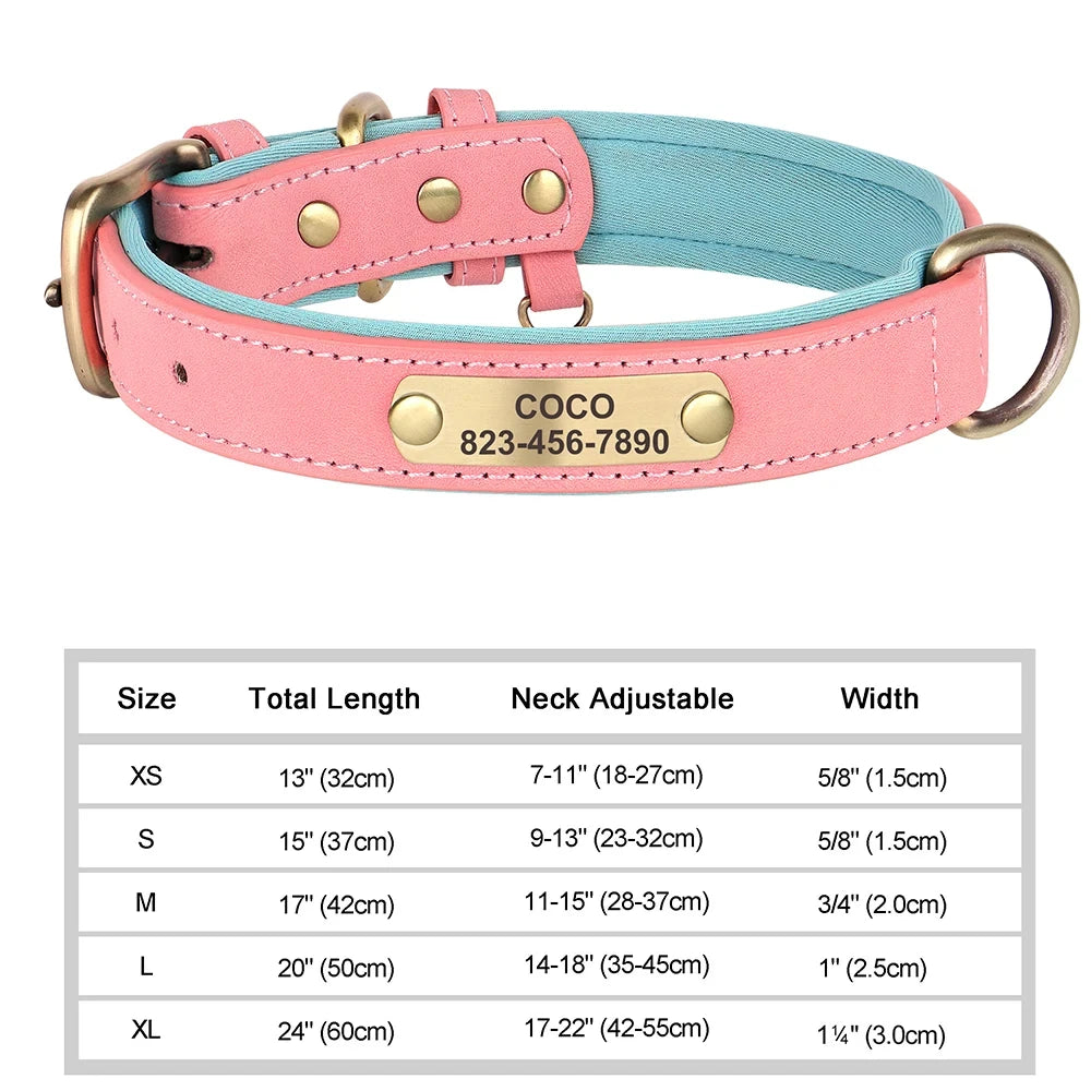 NameTag Personalized Leather Dog Collar