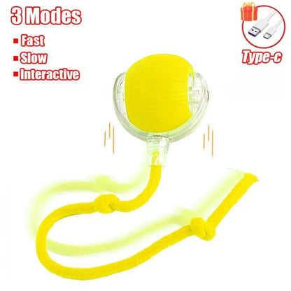 Rechargeable Interactive Cat Ball